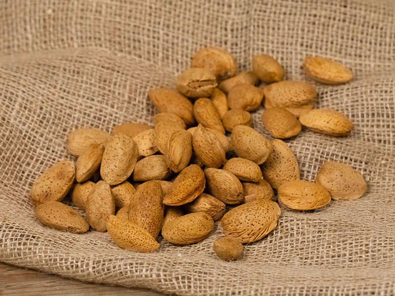 Amandes - Terroir du Maroc