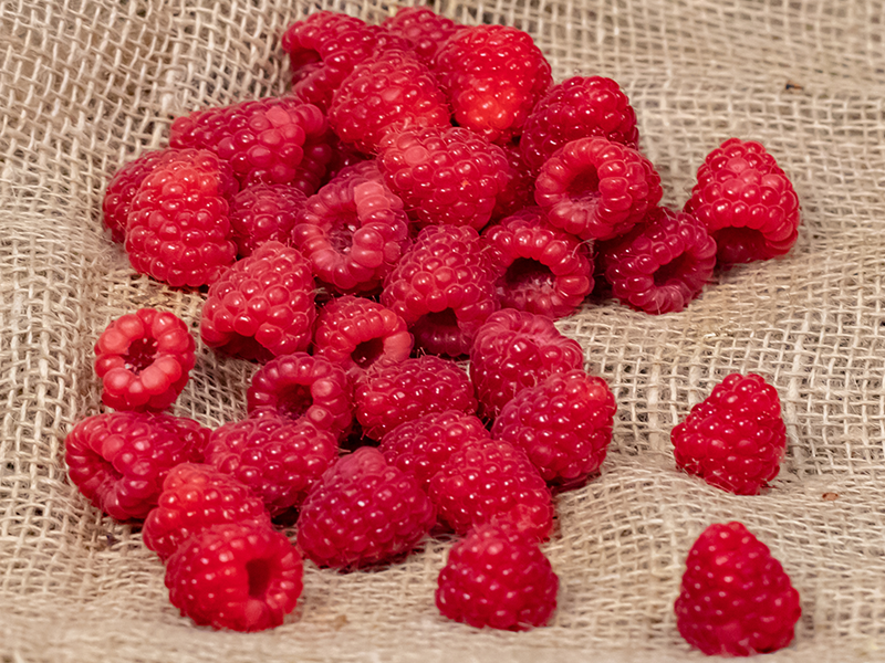 Framboises Bio - Produit & Terroir BioMeUp